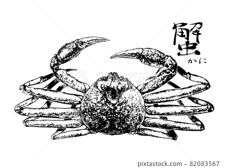 雪蟹的插圖 82083567