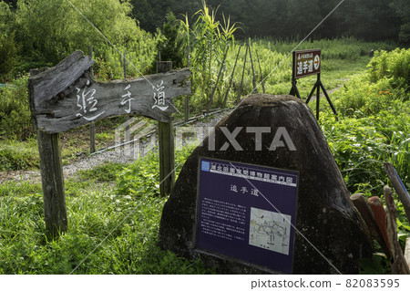 大谷城遺址 清水穀追擊路 滋賀縣長濱市 大谷城遺址 清水穀追擊路 滋賀縣長濱市 82083595