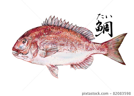 Illustration of red sea bream 82083598