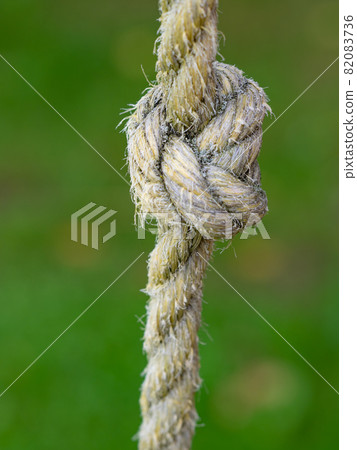 Rope ring knot hanging on wooden beam, trees in background Rope ring knot hanging on wooden beam, trees in background 82083736