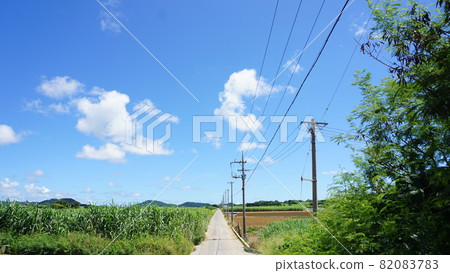 1pondo農場道路和藍天 1pondo農場道路和藍天 82083783