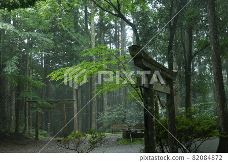 Kumano Kodo (Prince Shinshinmon) [Hongucho, Tanabe City, Wakayama Prefecture] 82084872