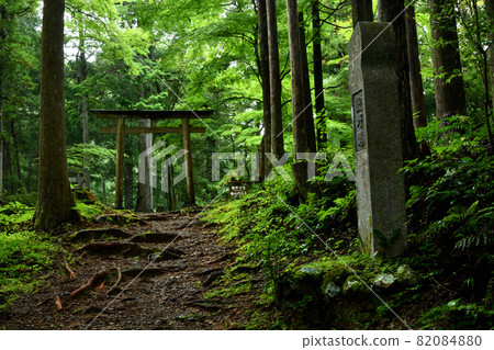熊野古道（真神門王子）[和歌山縣田邊市本宮町] 82084880