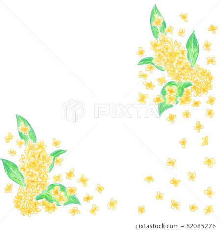 Kinmokusei no Hana Kinmokusei no Hana 82085276