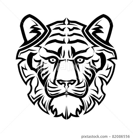 logo, tiger, vector 82086556