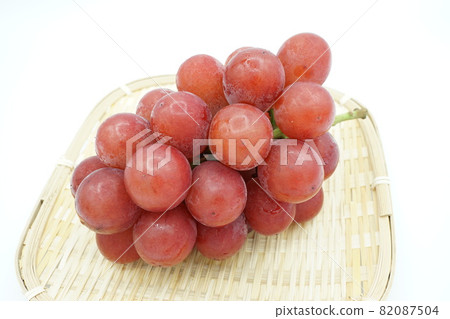 紅寶石羅馬 82087504