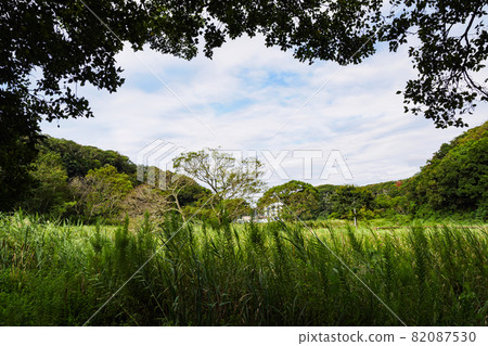 小次郎之森(初秋) 小次郎之森(初秋) 82087530