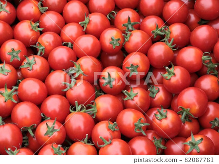 櫻桃西紅柿 櫻桃西紅柿 82087781