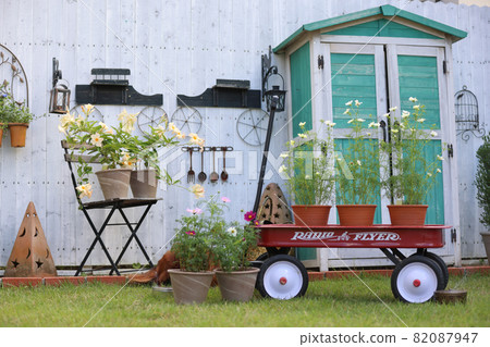 達克斯獵犬在花園裡玩耍 達克斯獵犬在花園裡玩耍 82087947