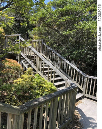 《兔子島(奧野島)自然學習路線(自然路徑/步行路線)》(廣島縣竹原市) 《兔子島(奧野島)自然學習路線(自然路徑/步行路線)》(廣島縣竹原市) 82088066