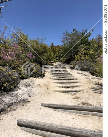 《兔子島(奧野島)自然學習路線(自然路徑/步行路線)》(廣島縣竹原市) 《兔子島(奧野島)自然學習路線(自然路徑/步行路線)》(廣島縣竹原市) 82088071