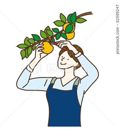 Harvest fruit hunting agricultural girls pears 82089247