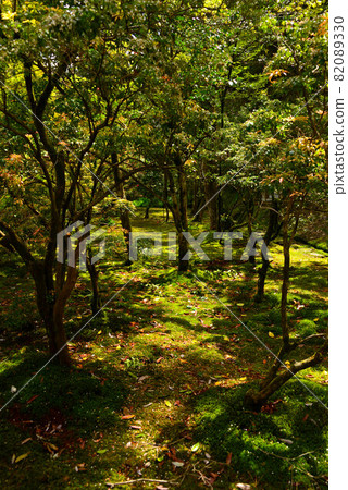 Natta-ji風景 Natta-ji風景 82089330