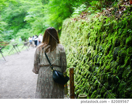 一個女人在長著美麗苔蘚的路上行走的背影 一個女人在長著美麗苔蘚的路上行走的背影 82089567