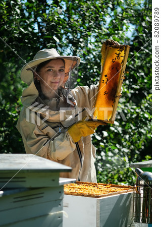 Young female beekeeper hold wooden frame with honeycomb. Collect honey. Beekeeper on apiary. Beekeeping concept. Young female beekeeper hold wooden frame with honeycomb. Collect honey. Beekeeper on apiary. Beekeeping concept. 82089789