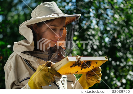 Young female beekeeper hold wooden frame with honeycomb. Collect honey. Beekeeper on apiary. Beekeeping concept. Young female beekeeper hold wooden frame with honeycomb. Collect honey. Beekeeper on apiary. Beekeeping concept. 82089790
