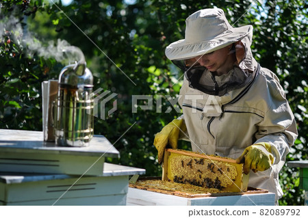 Young female beekeeper hold wooden frame with honeycomb. Collect honey. Beekeeper on apiary. Beekeeping concept. Young female beekeeper hold wooden frame with honeycomb. Collect honey. Beekeeper on apiary. Beekeeping concept. 82089792