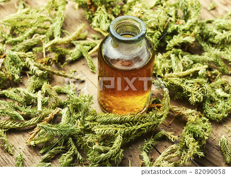 Lycopodium healing herbs 82090058