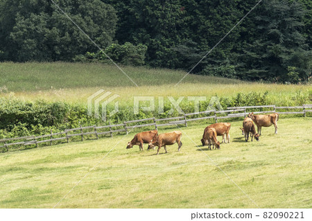 Hiruzen Highland Jersey Beef Hiruzen Highland Jersey Beef 82090221