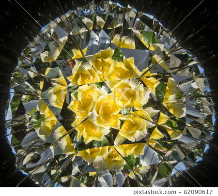 Yellow rose kaleidoscope photo Yellow rose kaleidoscope photo 82090617