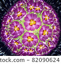 宇宙萬花筒照片2 82090624