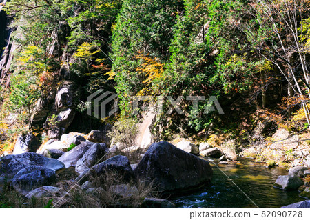 Autumn leaves of Mitake Shosenkyo, Kofu City, Yamanashi Prefecture Autumn leaves of Mitake Shosenkyo, Kofu City, Yamanashi Prefecture 82090728