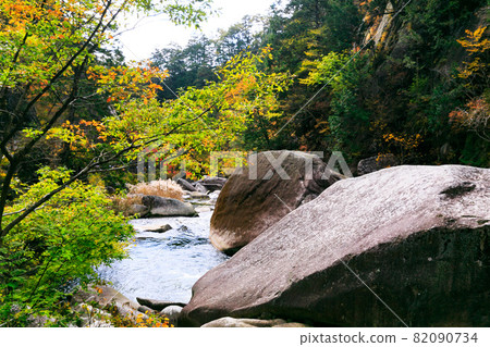 Autumn leaves of Mitake Shosenkyo, Kofu City, Yamanashi Prefecture Autumn leaves of Mitake Shosenkyo, Kofu City, Yamanashi Prefecture 82090734