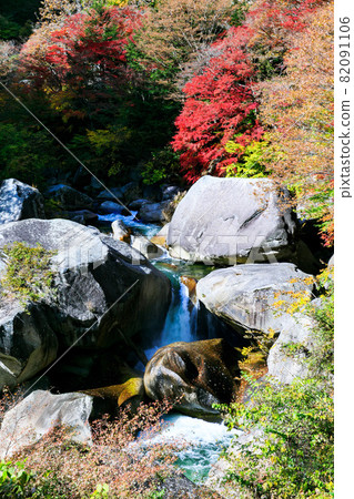Bright red autumn leaves in Shosenkyo, Kofu City, Yamanashi Prefecture Bright red autumn leaves in Shosenkyo, Kofu City, Yamanashi Prefecture 82091106