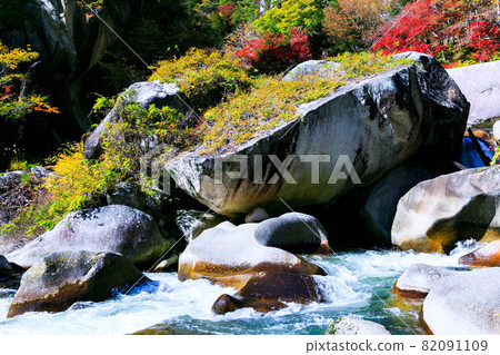Bright red autumn leaves in Shosenkyo, Kofu City, Yamanashi Prefecture Bright red autumn leaves in Shosenkyo, Kofu City, Yamanashi Prefecture 82091109