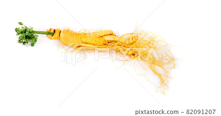 Ginseng roots on a white background 82091207