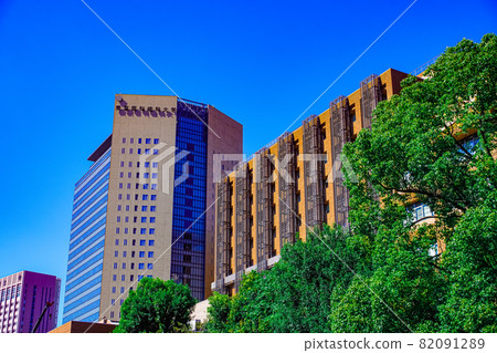 Tokyo Medical and Dental University 82091289