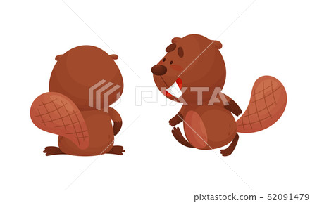 Funny Beaver Character with Flat Tail Walking and Standing Back View Vector Set Funny Beaver Character with Flat Tail Walking and Standing Back View Vector Set 82091479