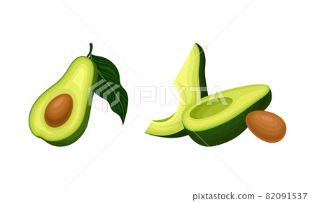 Avocado or Alligator Pear as Large Edible Berry with Seed Vector Set Avocado or Alligator Pear as Large Edible Berry with Seed Vector Set 82091537