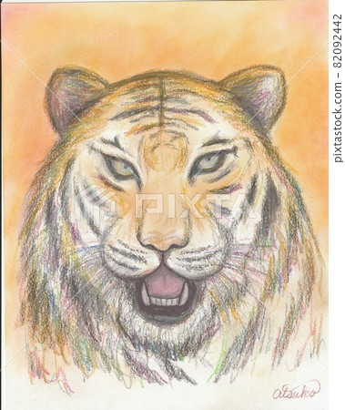 Tiger 82092442