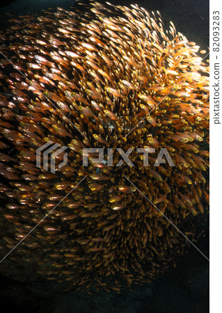 Underwater fireworks Underwater fireworks 82093283