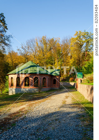 Forest and small house in summer day 82093484