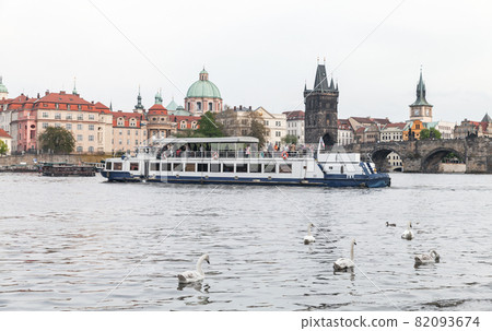 Swans and tourist boat are on Vltava river. Prague 82093674