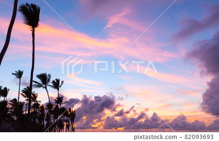 Coconut palm trees are under bright evening sky 82093693