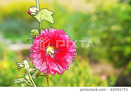 柔和的風格“蜀葵花”插圖圖像 柔和的風格“蜀葵花”插圖圖像 82093755