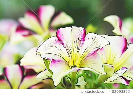 Pastel style "petunia flower" illustration image Pastel style "petunia flower" illustration image 82093803