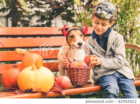 Boy and dog wearing Halloween costumes after trick-or-treating with apples in basket Boy and dog wearing Halloween costumes after trick-or-treating with apples in basket 82093822