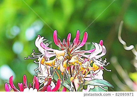 Pastel style "honeysuckle" illustration image Pastel style "honeysuckle" illustration image 82093971