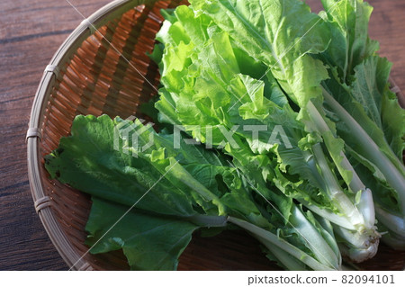 Shandongbi 82094101