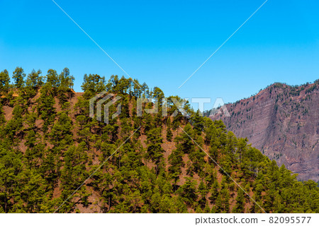 National Park of Caldera de Taburiente. Old Volcano Crater with Canarian Pine Trees Forest National Park of Caldera de Taburiente. Old Volcano Crater with Canarian Pine Trees Forest 82095577