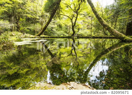 山吹泉自然保育公園綠意盎然,擁有原始森林和大型池塘,是日本百大名泉之一,也是熱門的拍照打卡地,位於熊本縣阿蘇市。 山吹泉自然保育公園綠意盎然,擁有原始森林和大型池塘,是日本百大名泉之一,也是熱門的拍照打卡地,位於熊本縣阿蘇市。 82095671