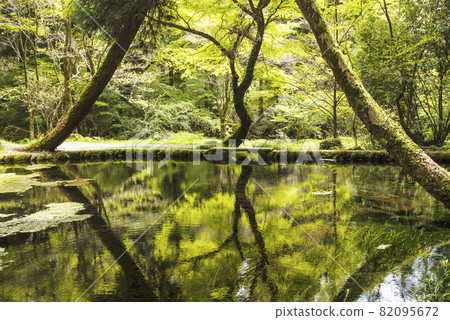 山吹泉自然保育公園，綠意盎然，是日本百大名泉之一，擁有原始森林和大型池塘，是熊本縣阿蘇市的熱門拍照景點。 82095672