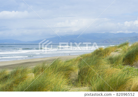 Beautiful green grasses and sand dune at Ocean Beach in San Francisco,CA. 82096552