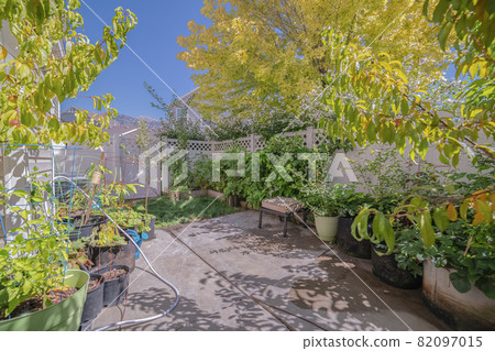 Small private back garden with potted plants 82097015