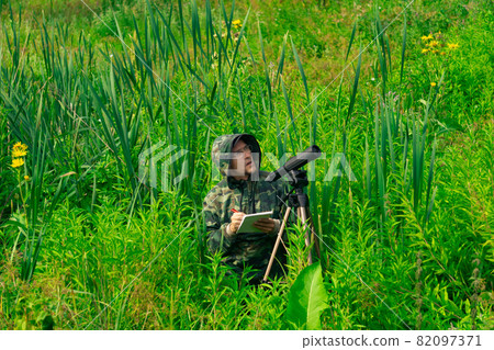 wildlife explorer records the results of the observations while standing among the tall grass in the wetland 82097371