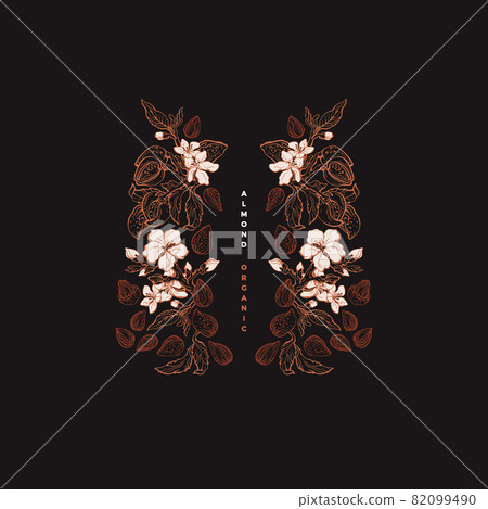 Almond outline symbol. Vector tree, nut. Package 82099490